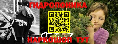 дмт Малгобек
