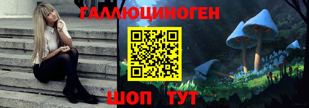 Псилоцибиновые грибы Psilocybe Унеча
